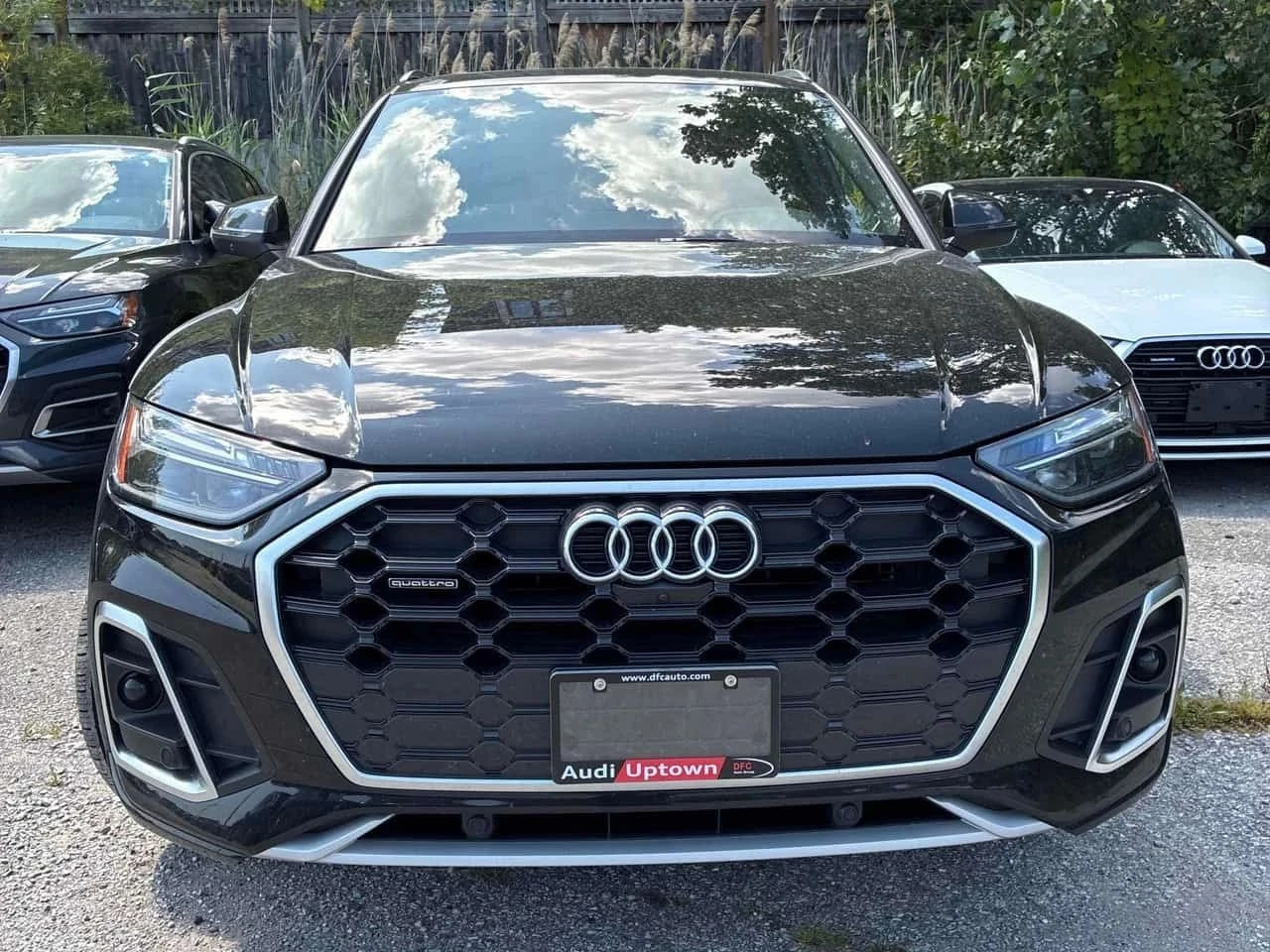 Audi Q5, снимка 6 - Автомобили и джипове - 56739617