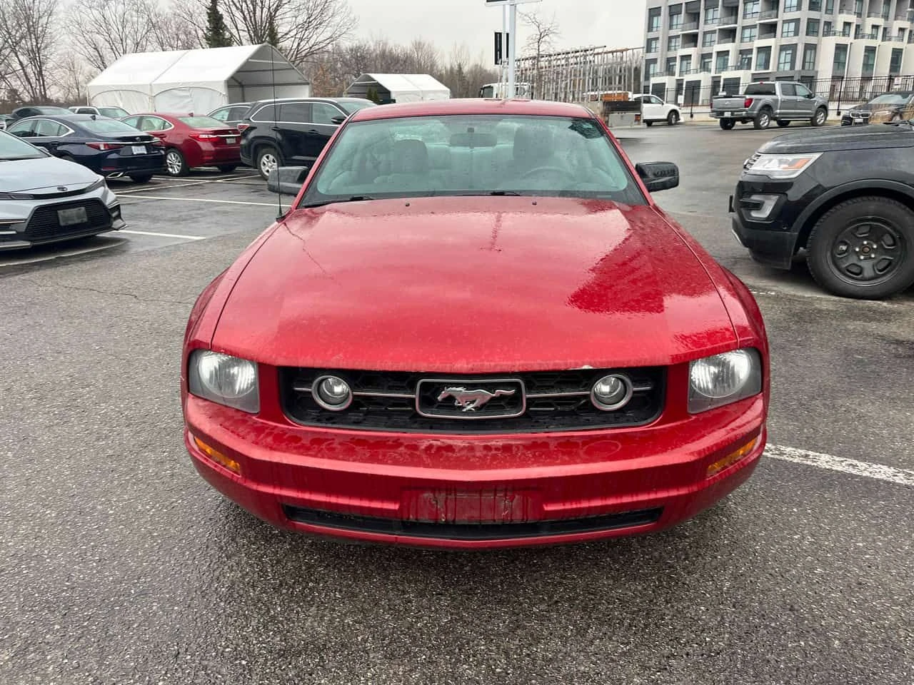 Ford Mustang * 2dr Cpe * CARFAX * ЦЕНА ДО БГ, снимка 6 - Автомобили и джипове - 53999111