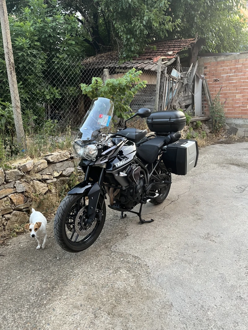 Triumph Tiger 800 XR, снимка 5 - Мотоциклети и мототехника - 52351070