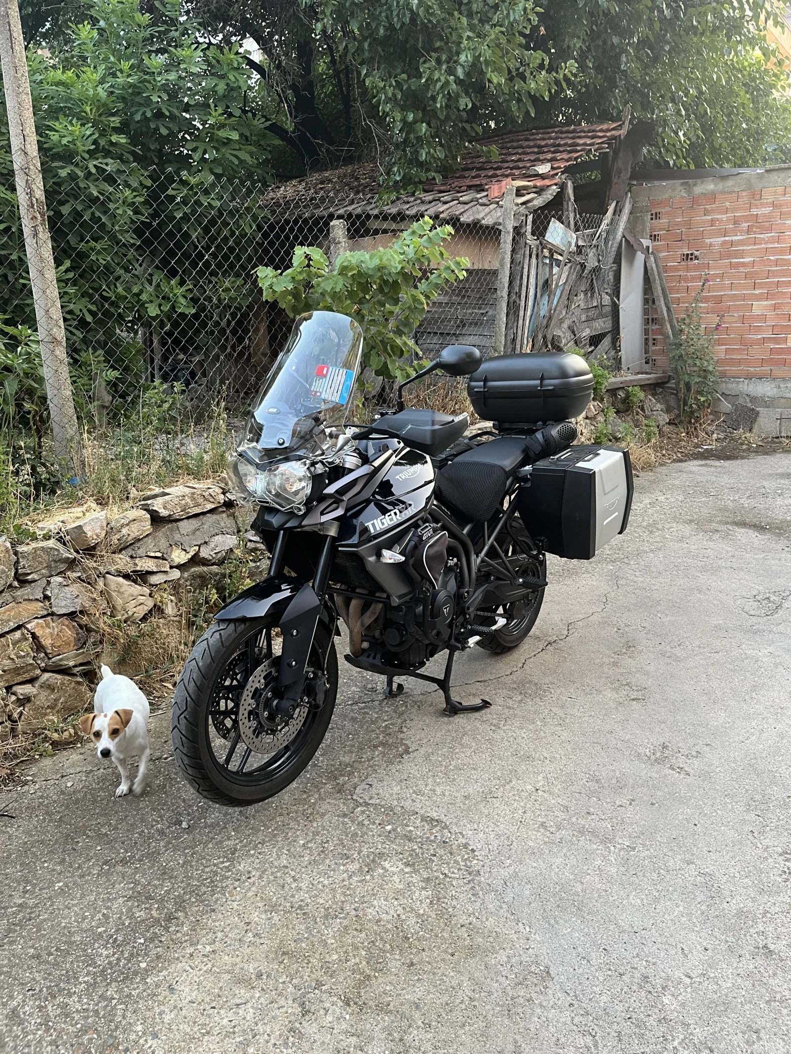 Triumph Tiger 800 XR - изображение 5