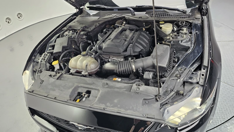 Ford Mustang 2.3L ECOBOOST autogeorge.com, снимка 6 - Автомобили и джипове - 51903354