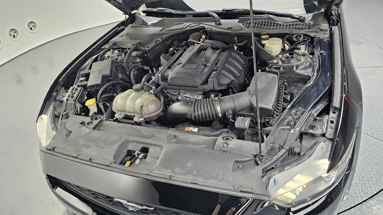 Ford Mustang 2.3L ECOBOOST  | Mobile.bg   6