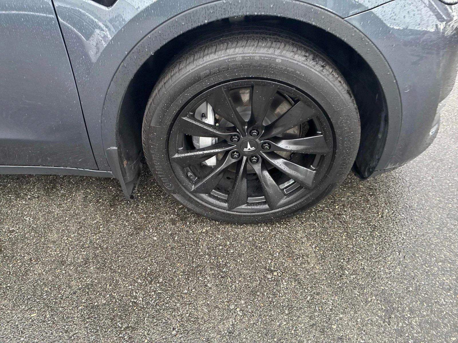 Tesla Model Y LONG RANGE AWD, снимка 6 - Автомобили и джипове - 54273357