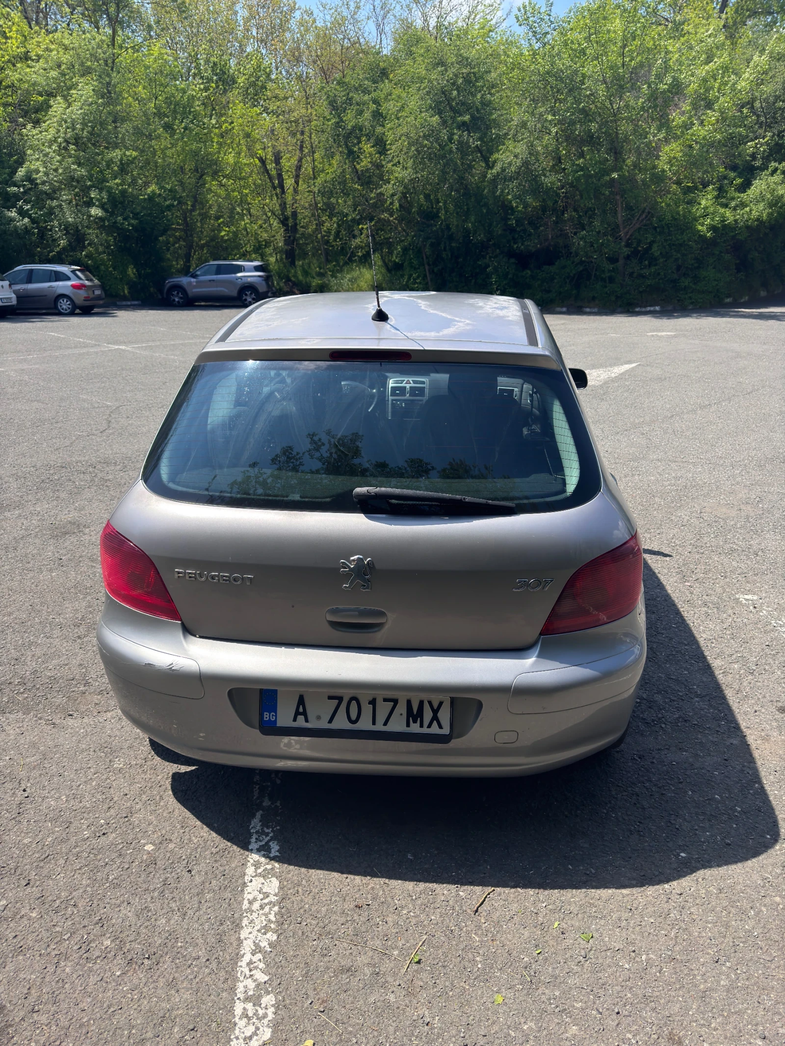 Peugeot 307 1.6 Бензин/Газ, снимка 5 - Автомобили и джипове - 54509926