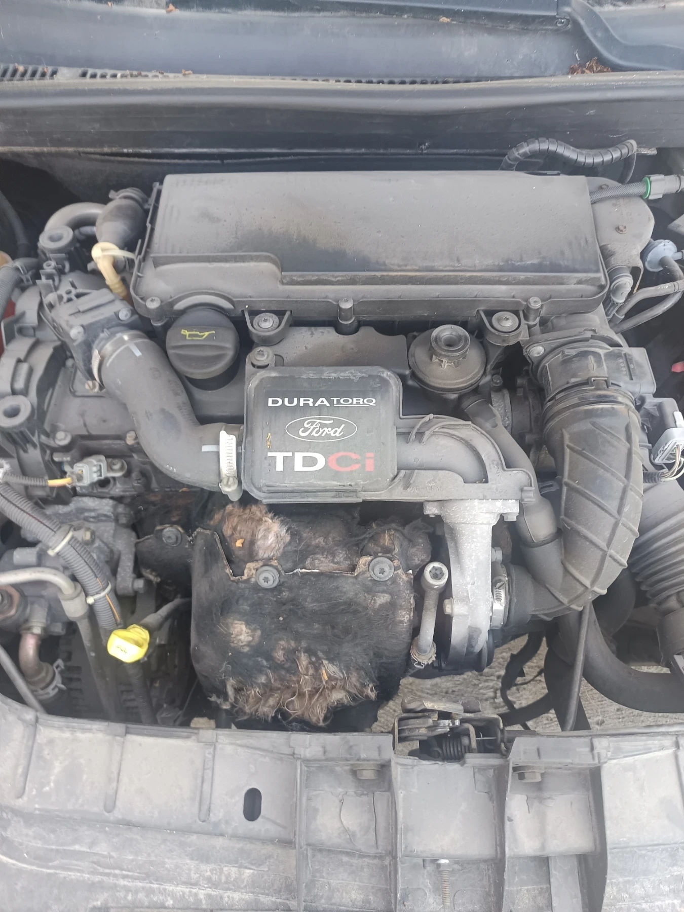 Ford Fiesta 1.4 HDI, снимка 9 - Автомобили и джипове - 54946760