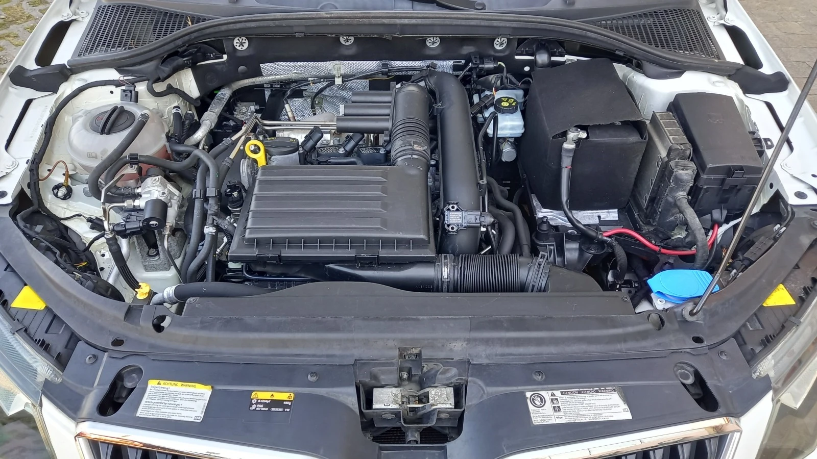 Skoda Octavia      / | Mobile.bg   16