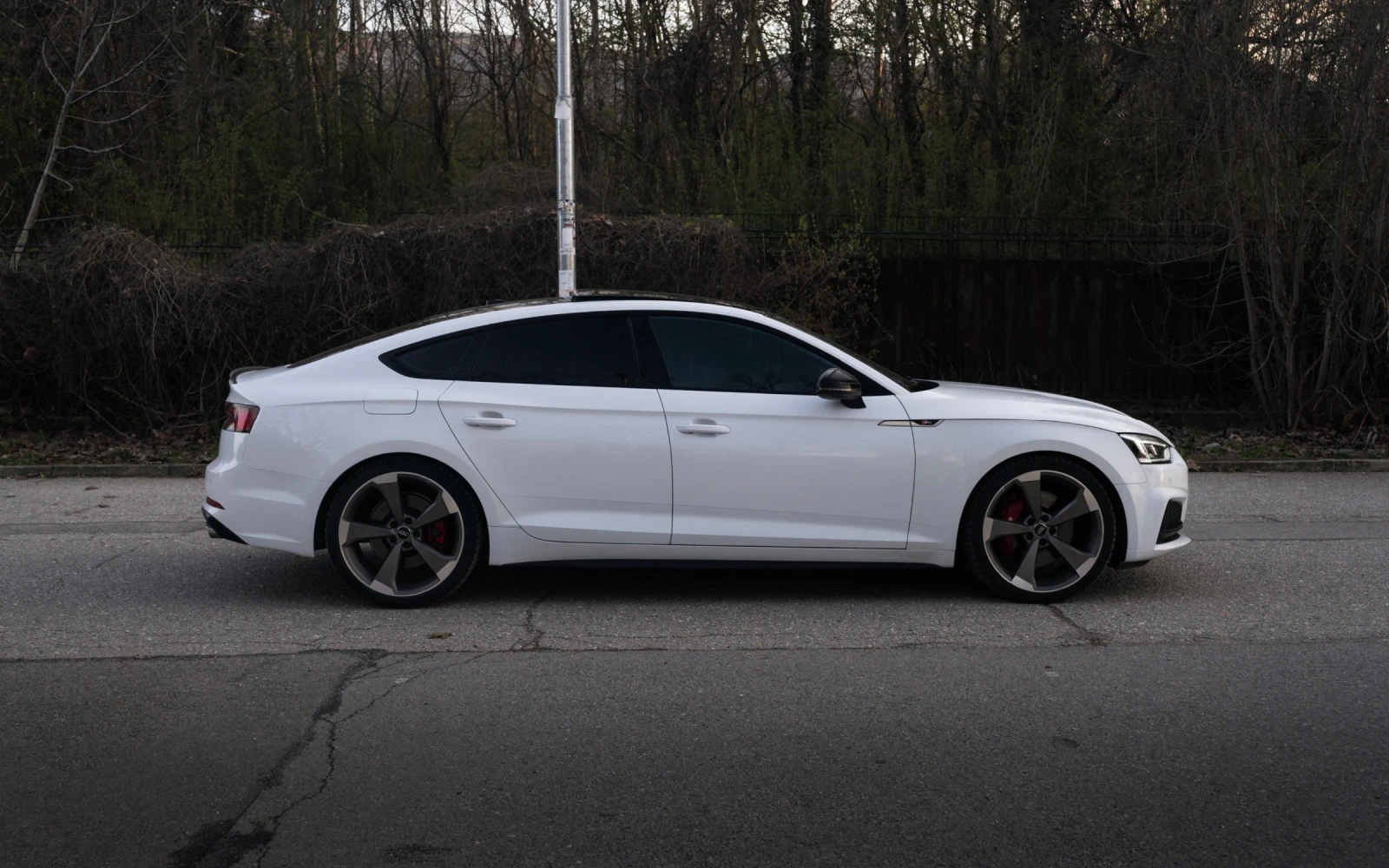 Audi S5 3.0 TFSI Quattro  - изображение 5