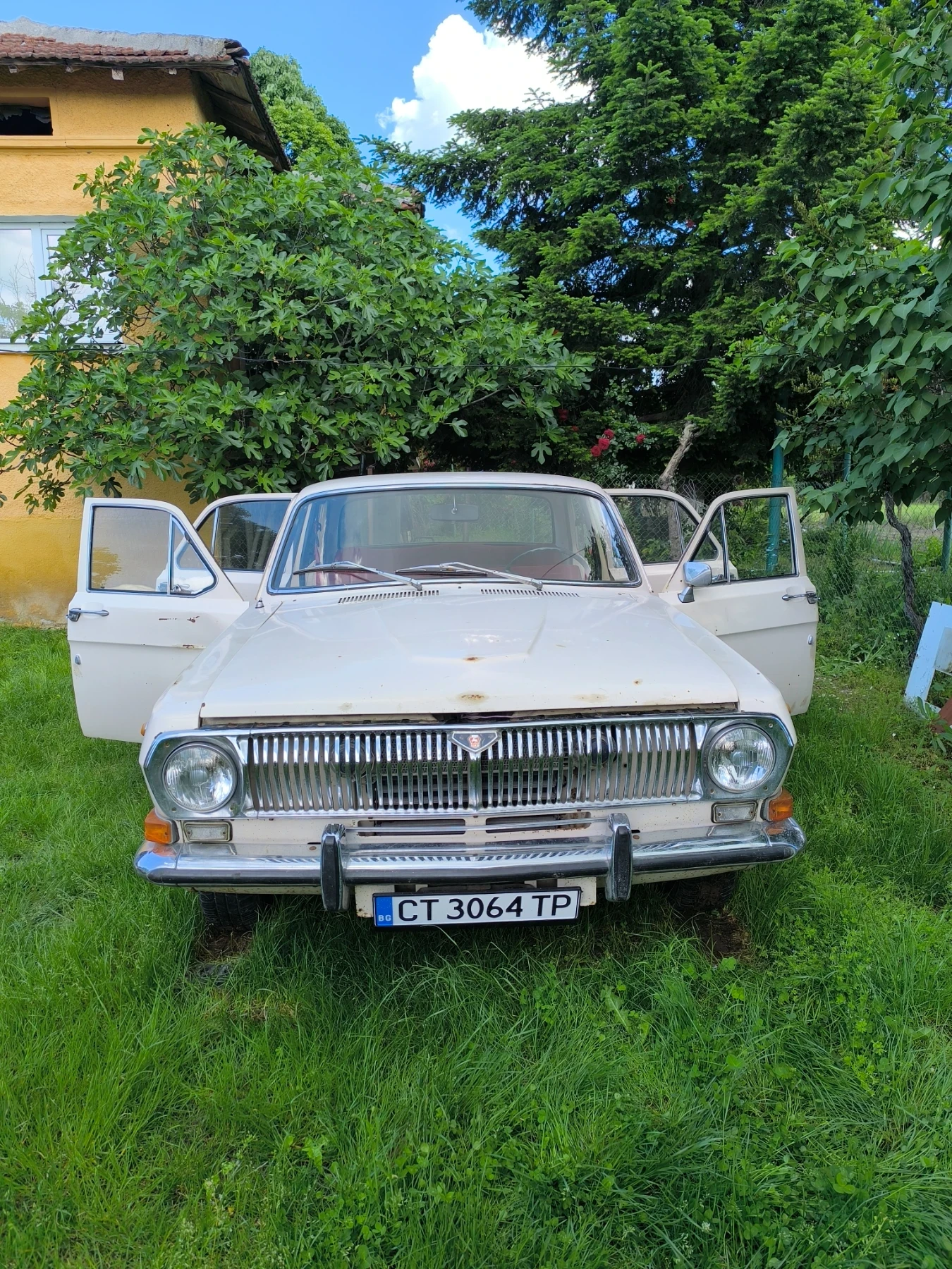 Volga 24 24