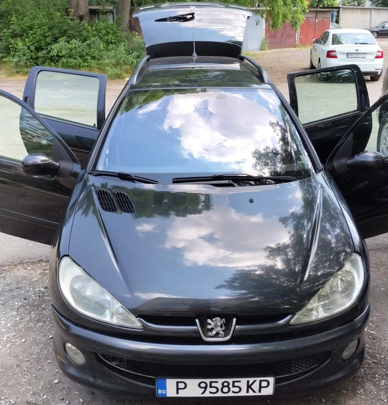 Peugeot 206 SW