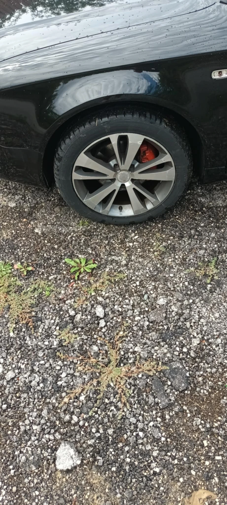 Audi A4 1.9 - изображение 3