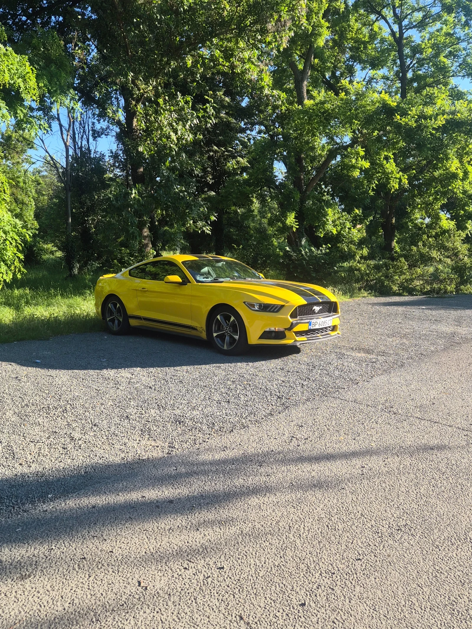 Ford Mustang | Mobile.bg � ����������� 1