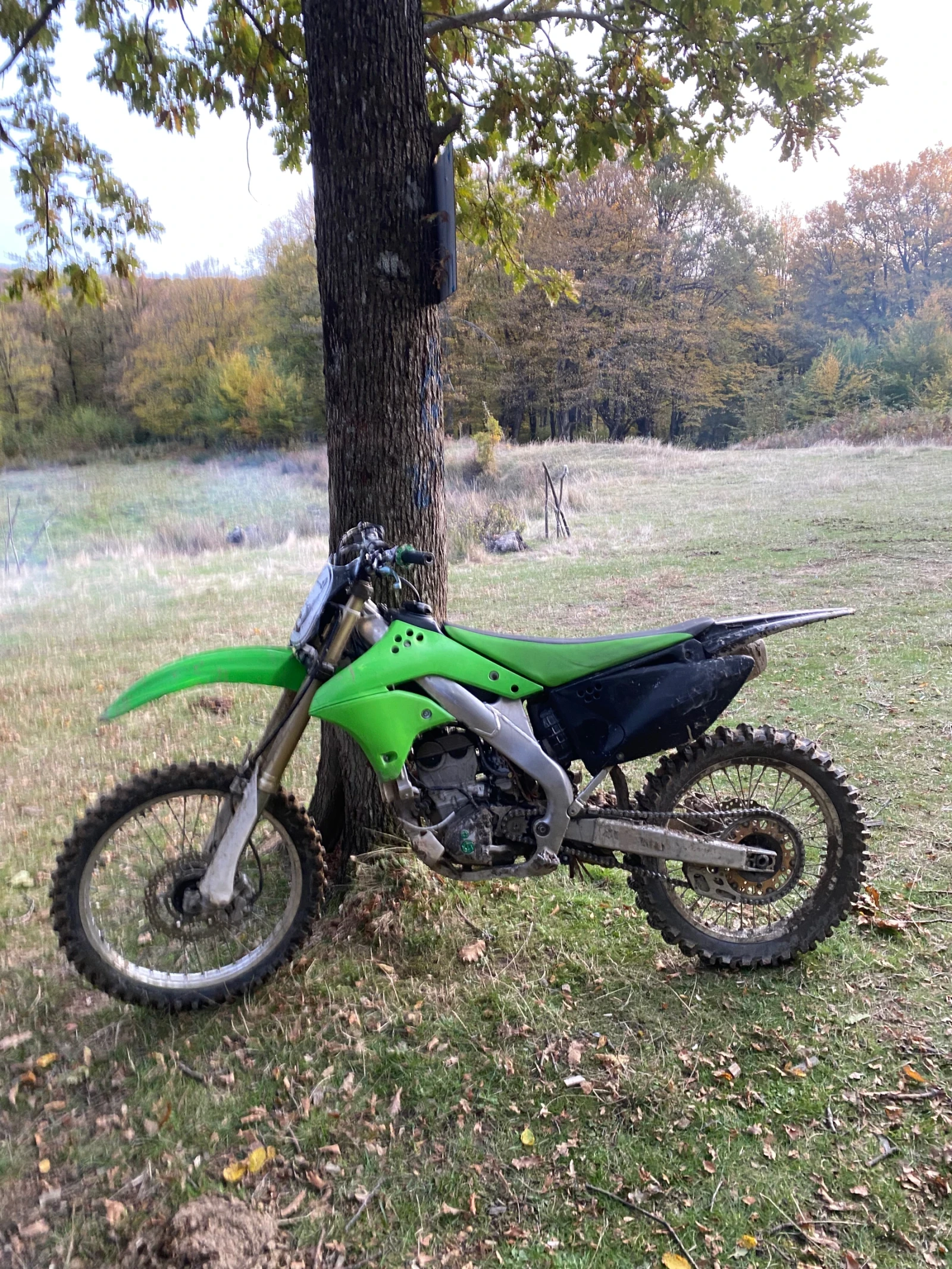 Kawasaki Kx 250f 2008