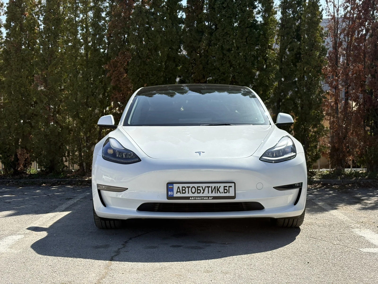 Tesla Model 3 Long Range AWD, снимка 2 - Автомобили и джипове - 53780444