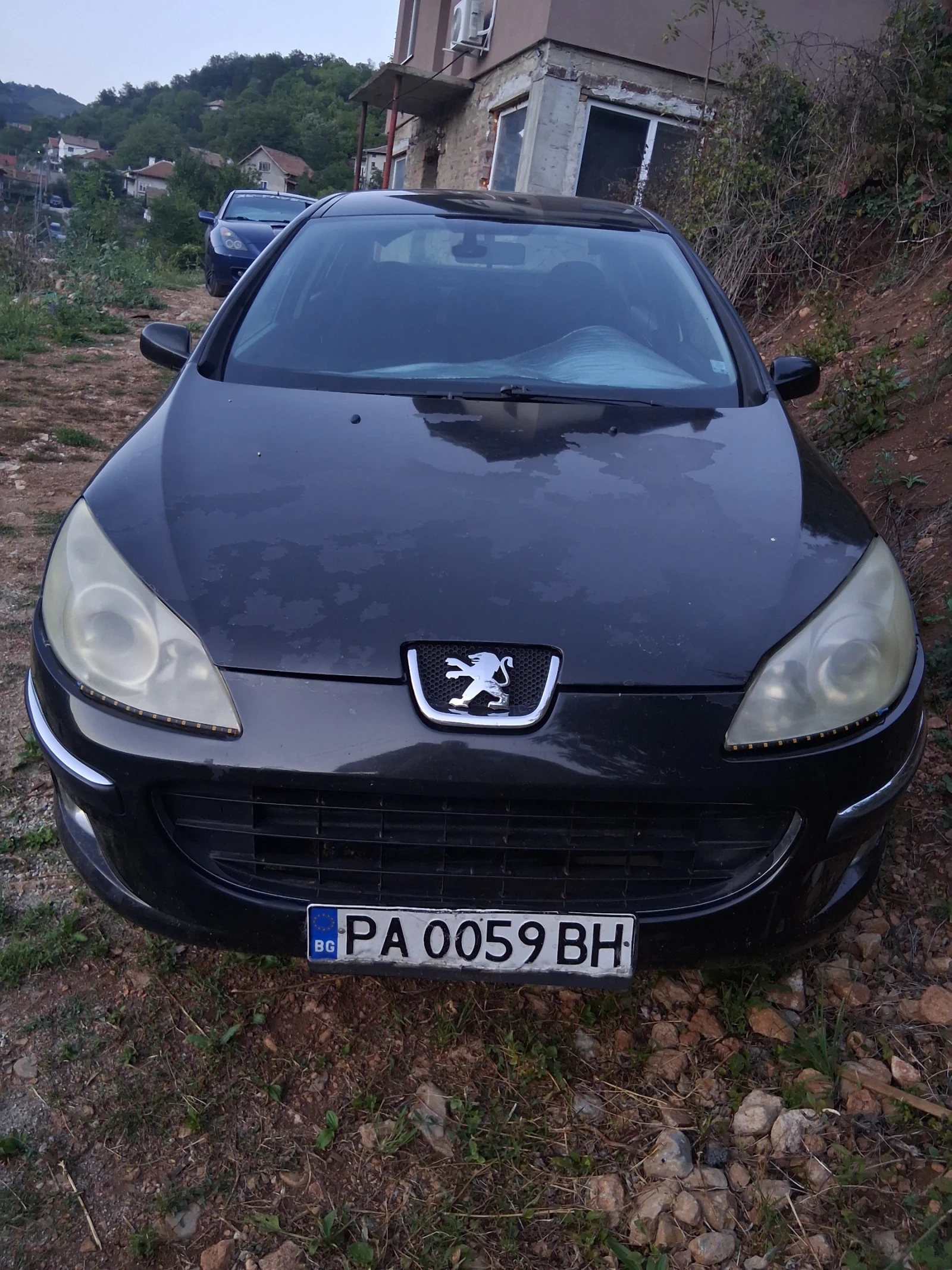 Peugeot 407