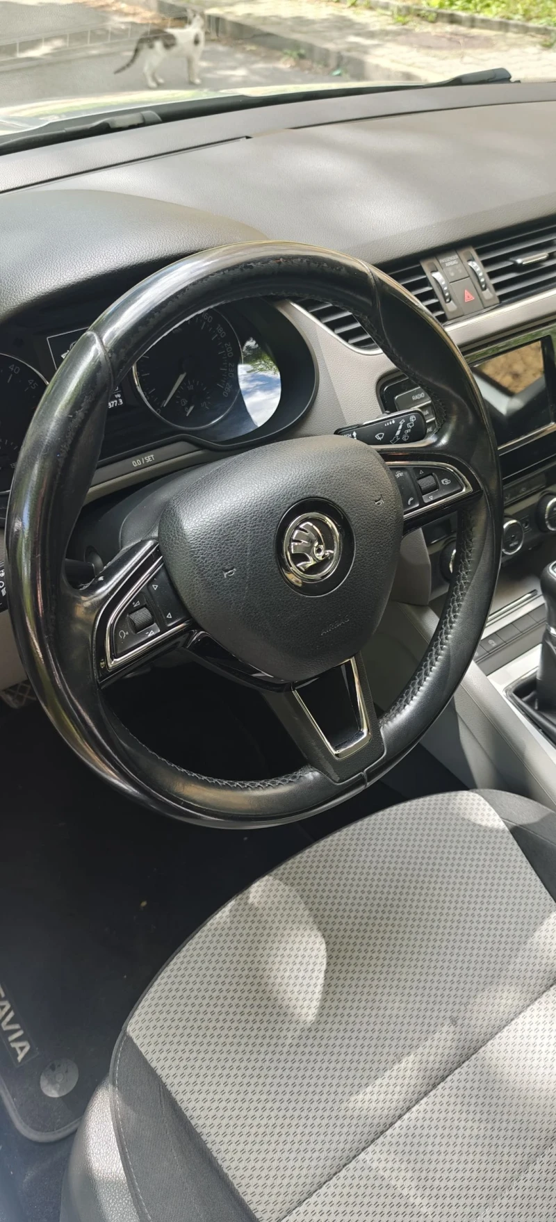 Skoda Octavia TDI, снимка 7 - Автомобили и джипове - 52222355