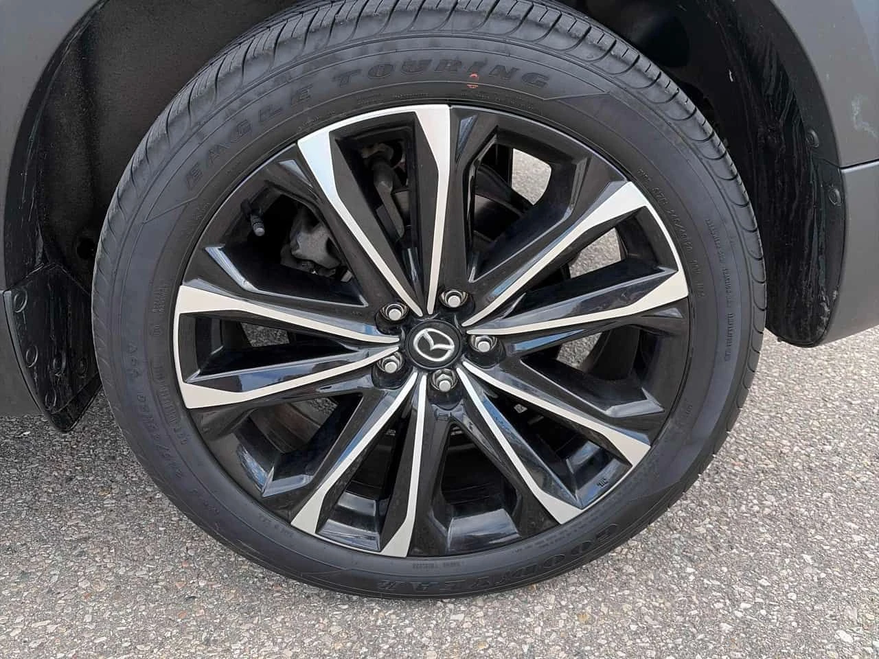 Mazda CX-50  AWD 2.5L / 360 / ���� / ����� / ���� �� ��������  | Mobile.bg � ����������� 7