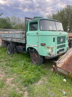  Ifa W