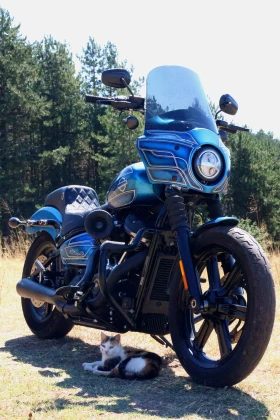 Harley-Davidson Softail FXBB Street Bob, снимка 1