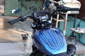 Harley-Davidson Softail FXBB Street Bob, снимка 6