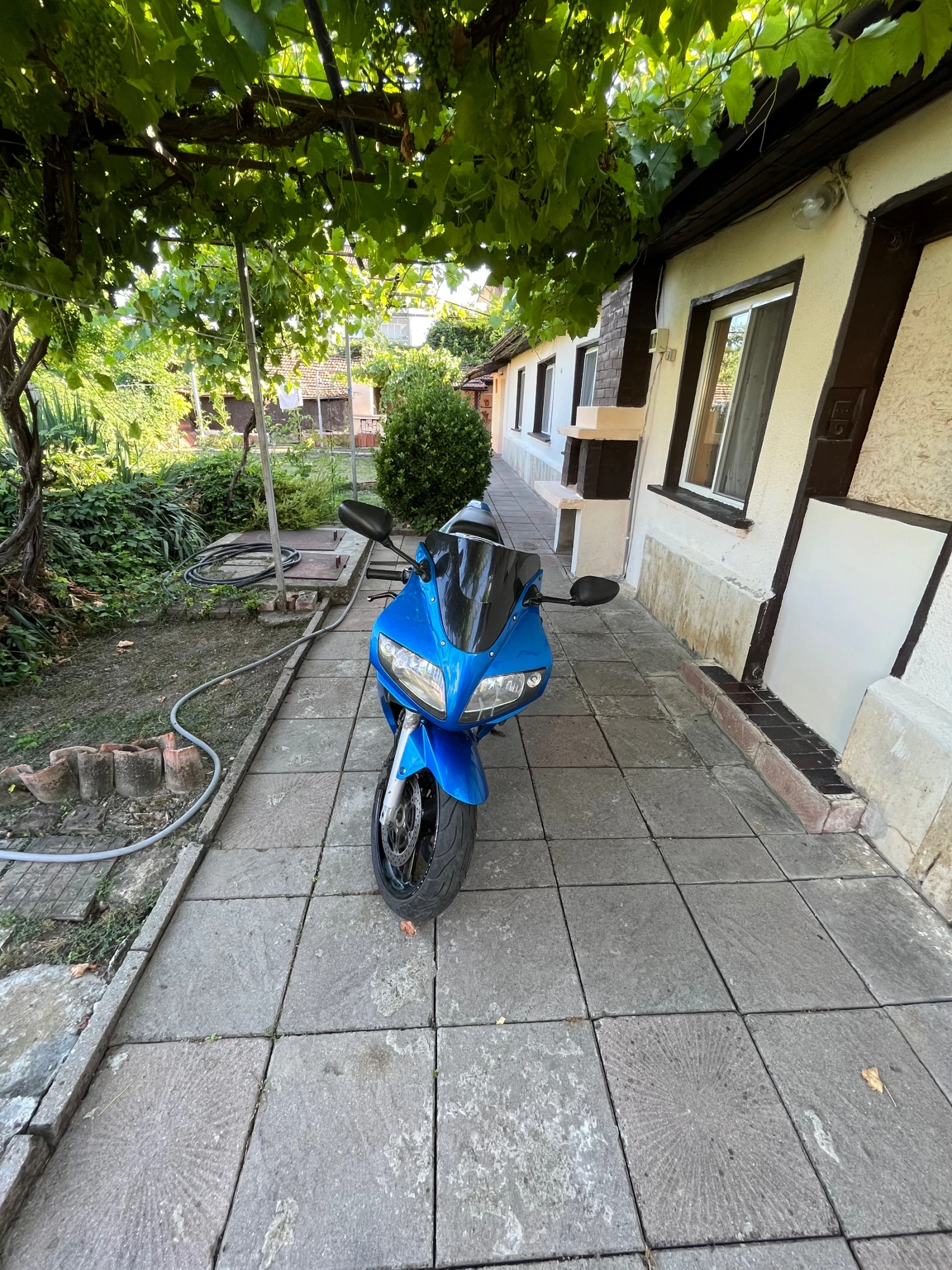 Suzuki SV  - изображение 5