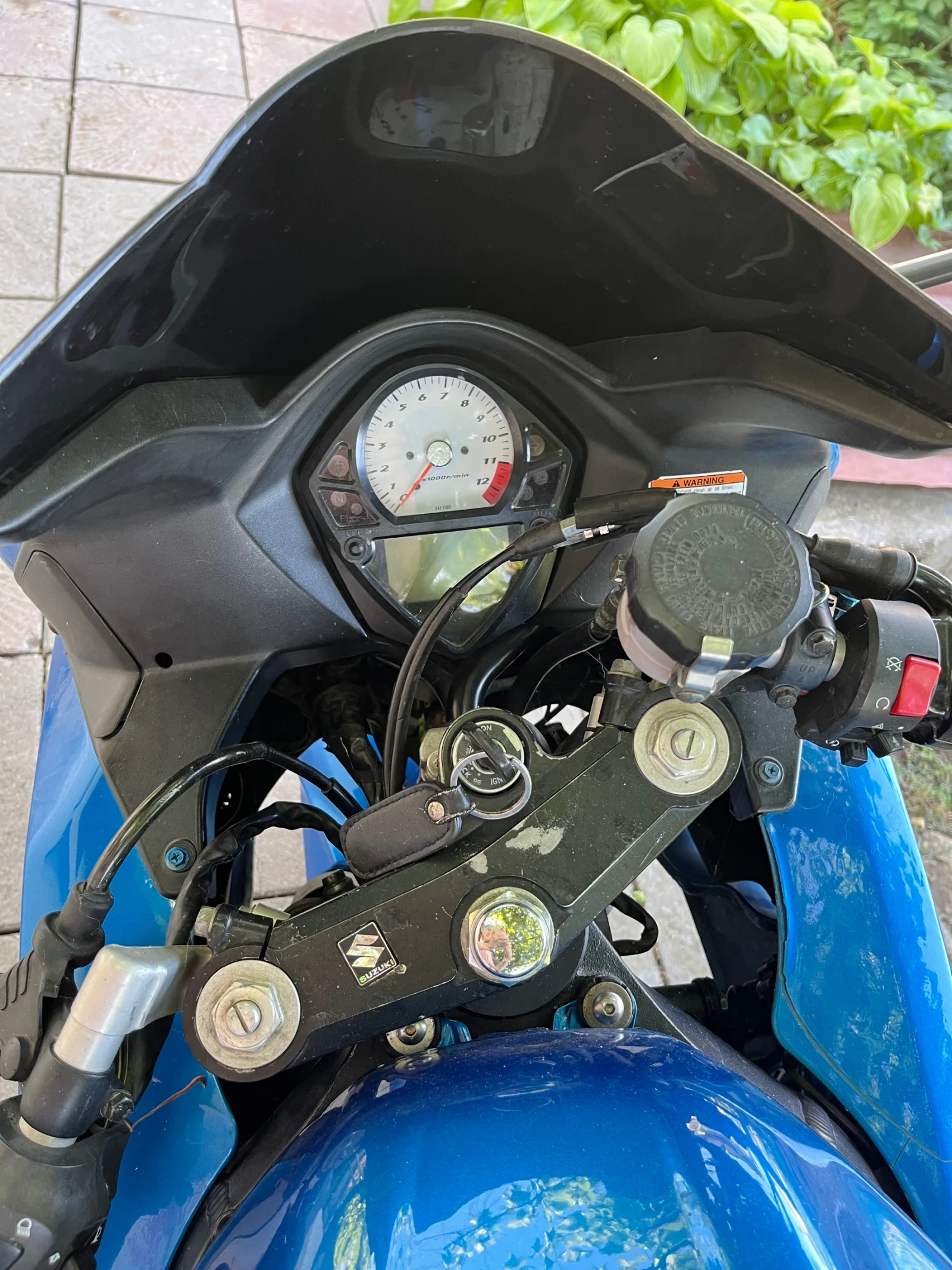Suzuki SV  - изображение 7