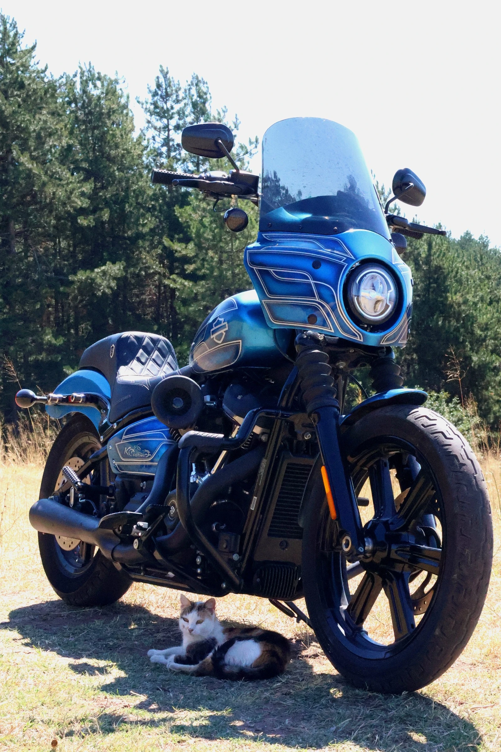 Harley-Davidson Softail FXBB Street Bob