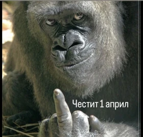 BMW 320, снимка 3