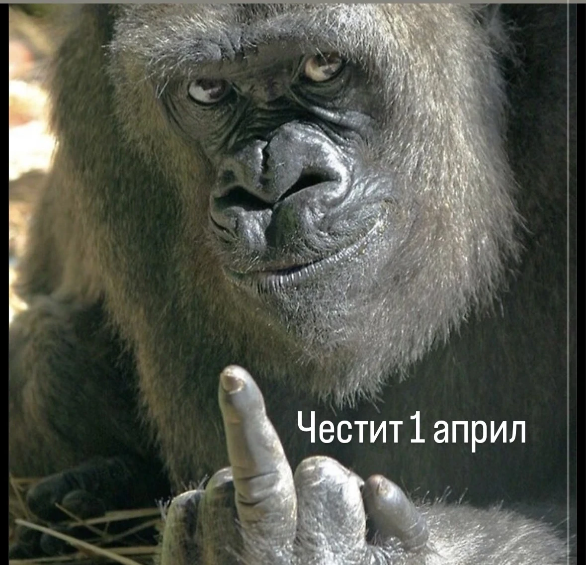 BMW 320, снимка 3 - Автомобили и джипове - 54054184