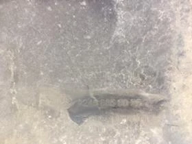 ���� � ���������, ������ ����� �� Mercedes-Benz B 180 | Mobile.bg � ����� ������ 4