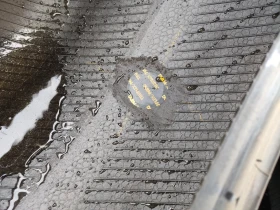 ���� 285/45R20 | Mobile.bg � ����� ������ 11