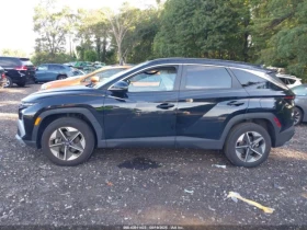 Hyundai Tucson SEL CONVENIENCE | Mobile.bg    5