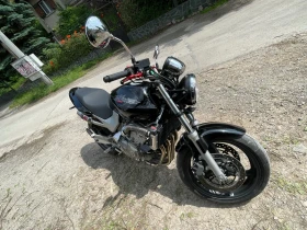     Honda Hornet