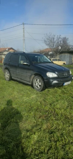 Mercedes-Benz ML 270 - 6700 € / 13104.06 лв. - 81242910 7