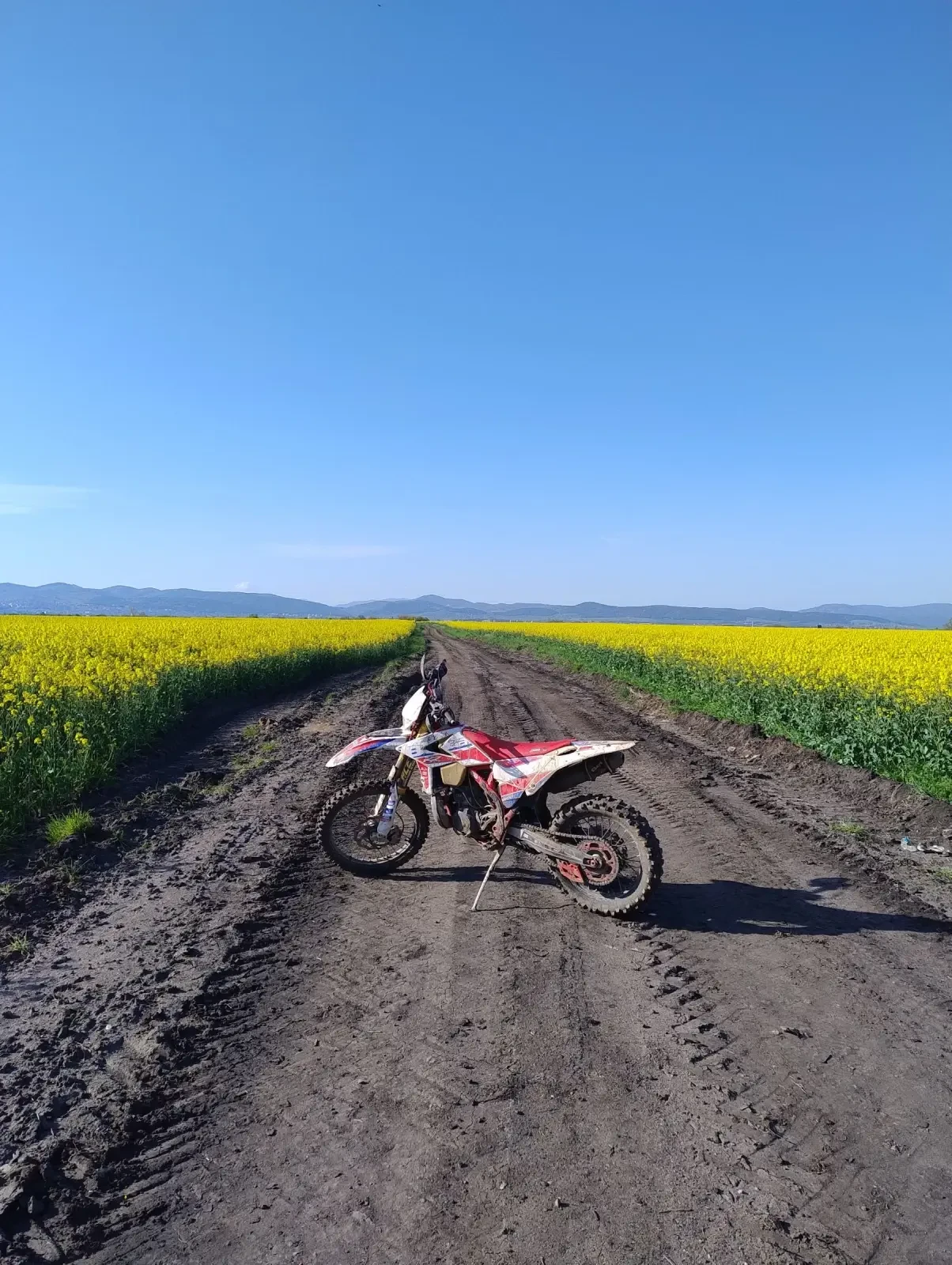 Beta Rr 300 възможен бартер - изображение 3