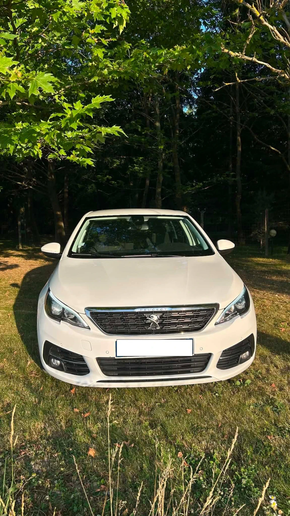 Peugeot 308 1.5 BlueHDI 131