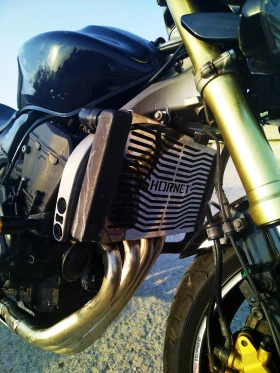 Honda Cb CB600f Hornet | Mobile.bg    2