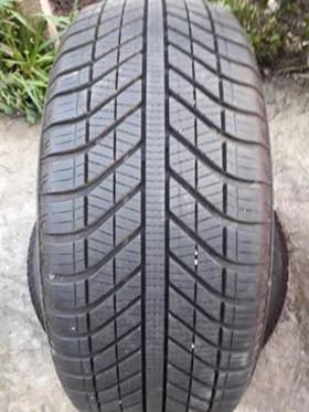      205/50R17