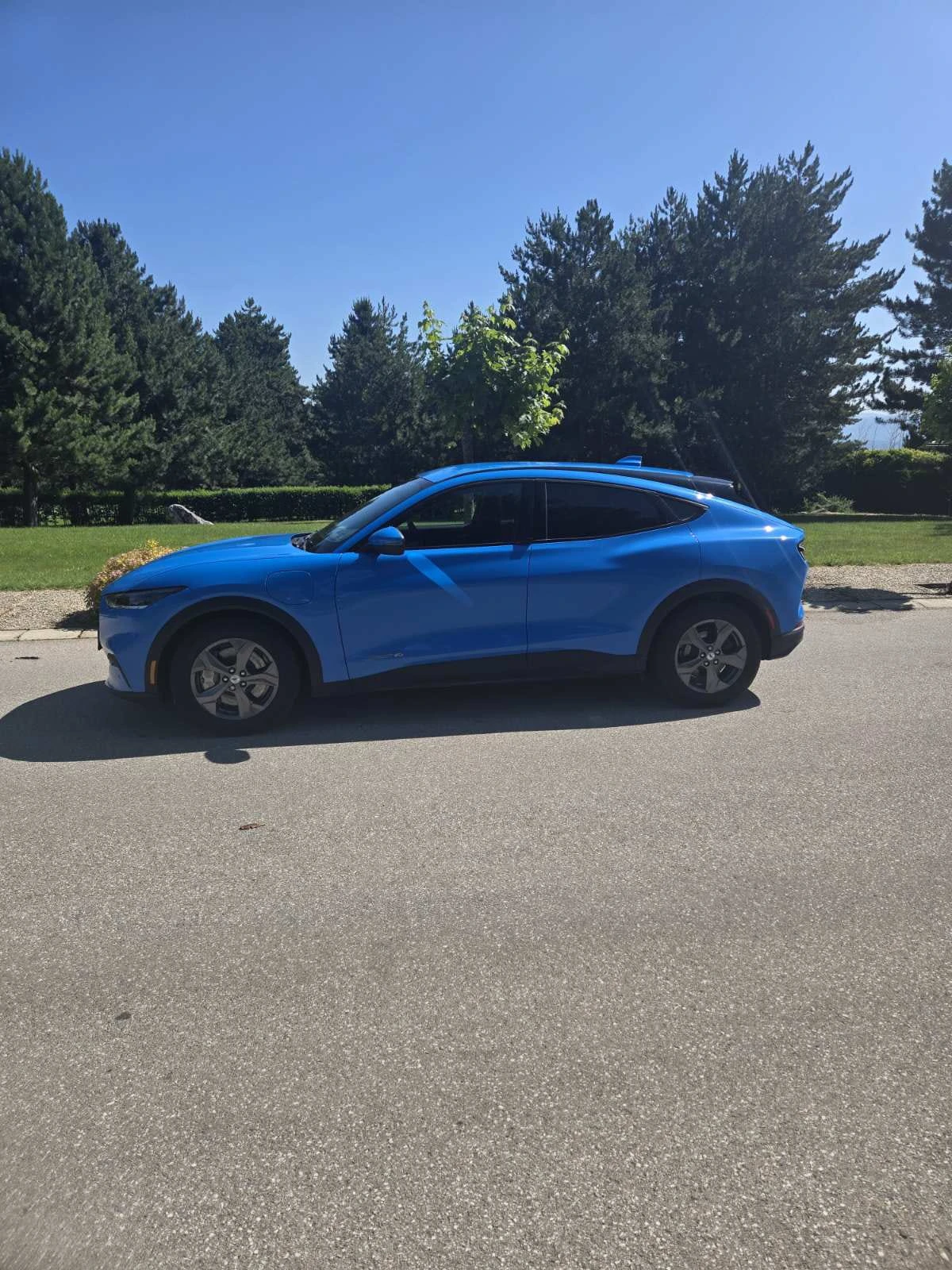 Ford Mustang Mach-E  - изображение 5