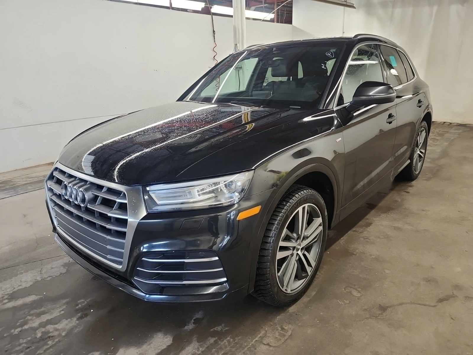 Audi Q5 PROGRESSIV