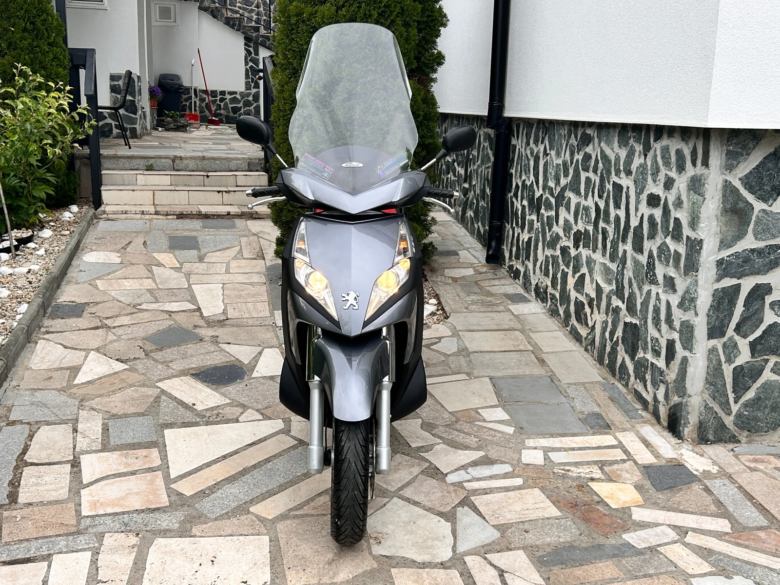 Peugeot Geopolis 250i - изображение 5