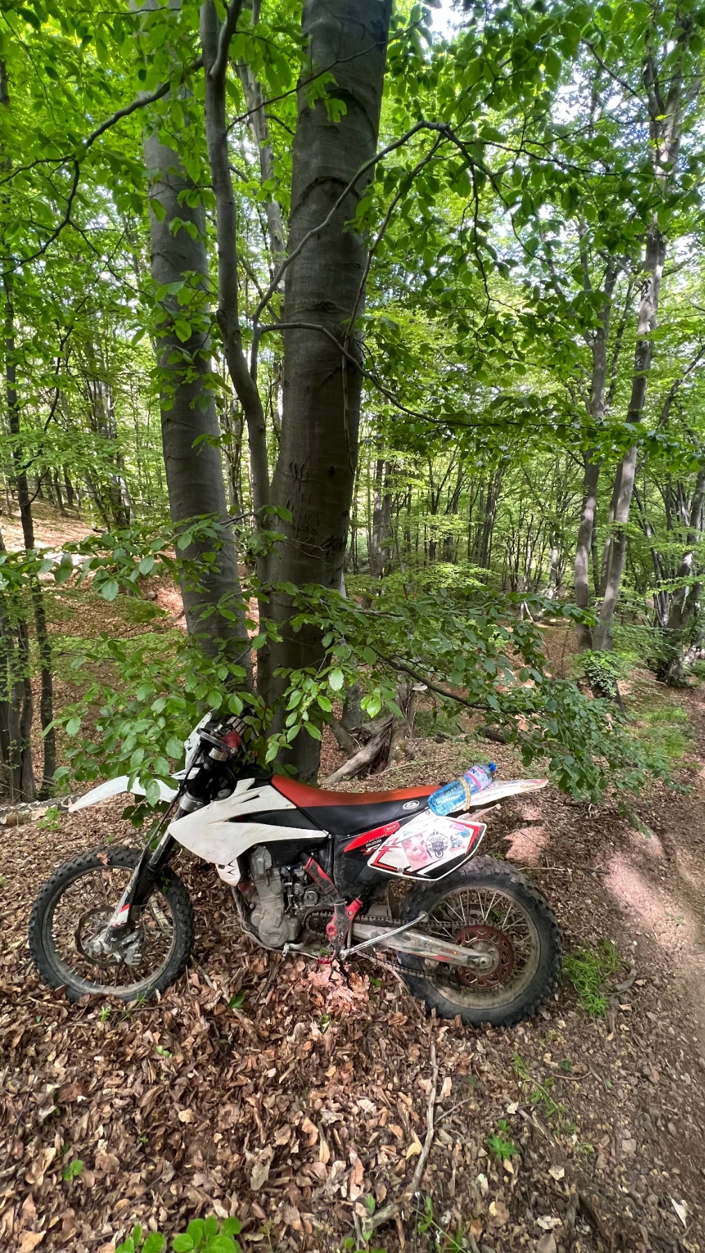 Beta Rr , 200   | Mobile.bg   7