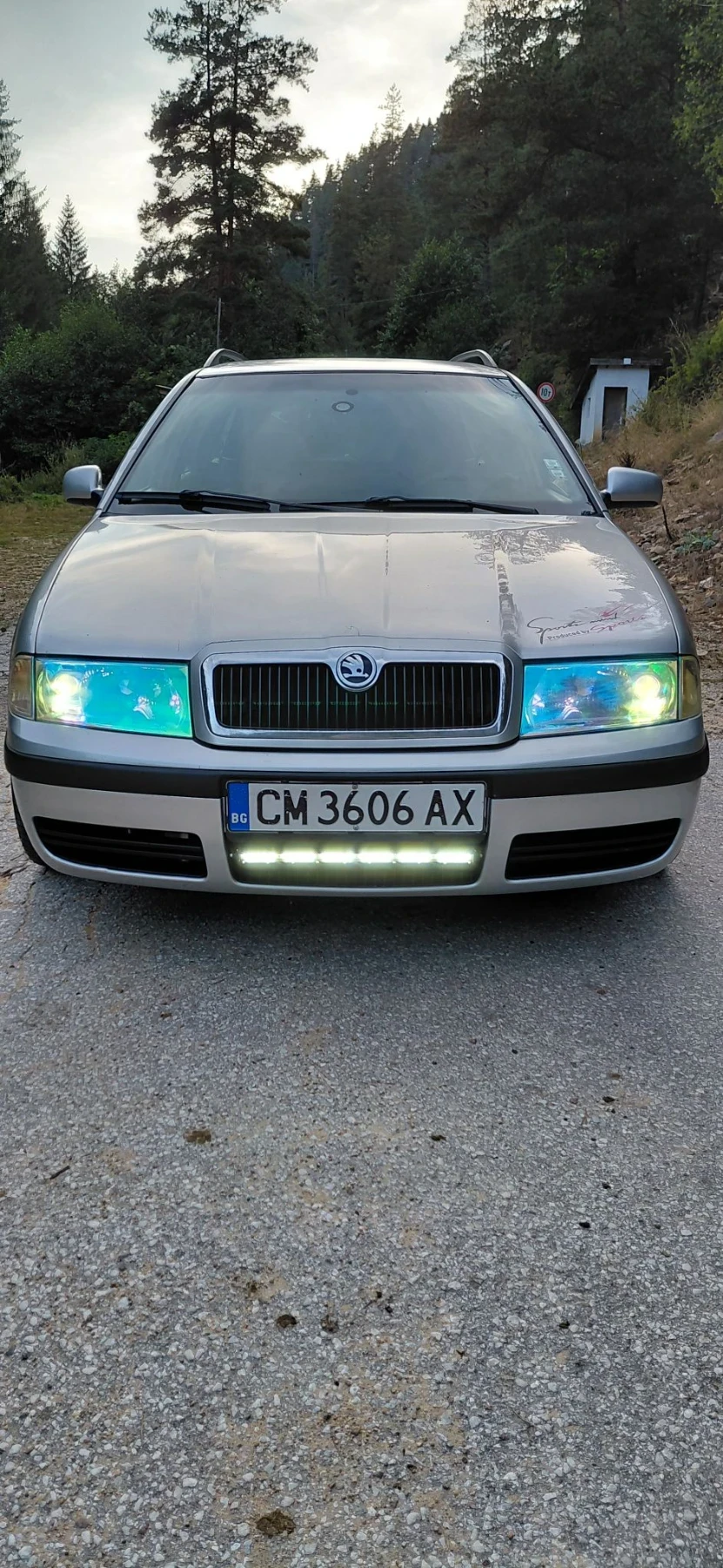 Skoda Octavia 1.9tdi 110ps.