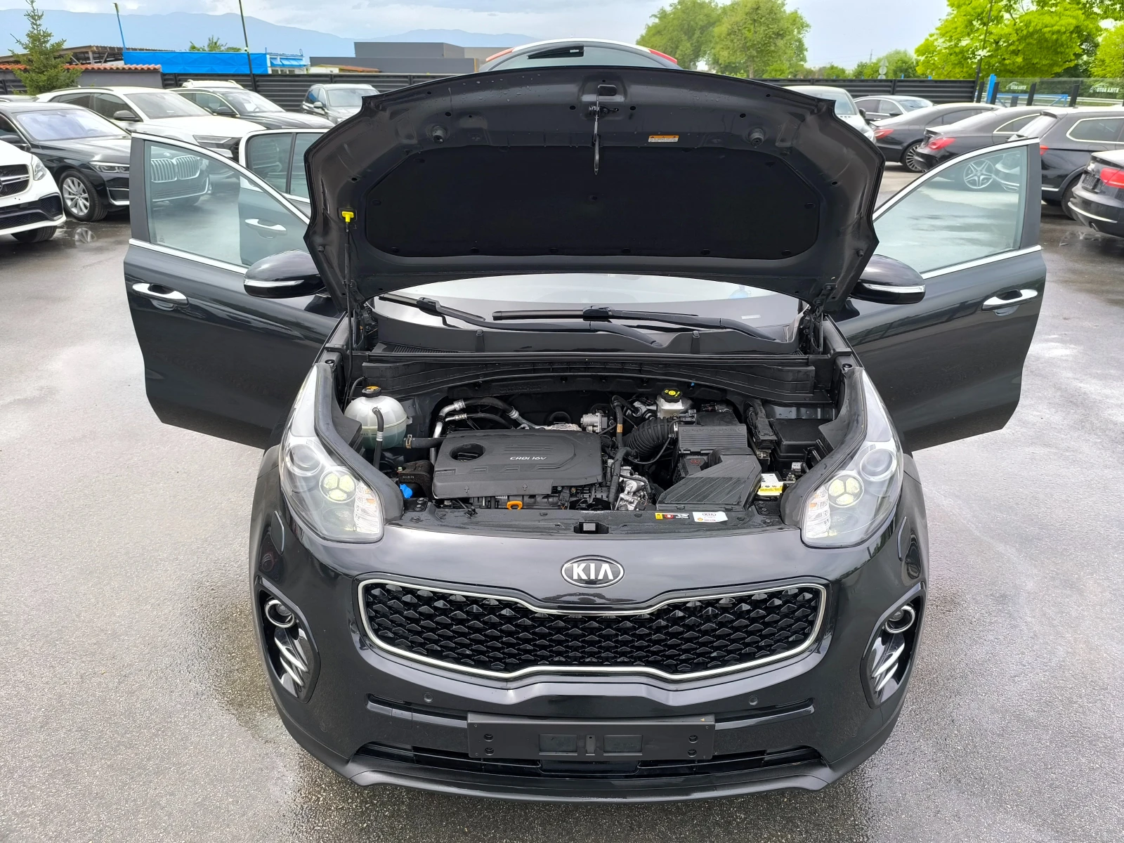 Kia Sportage  - изображение 7