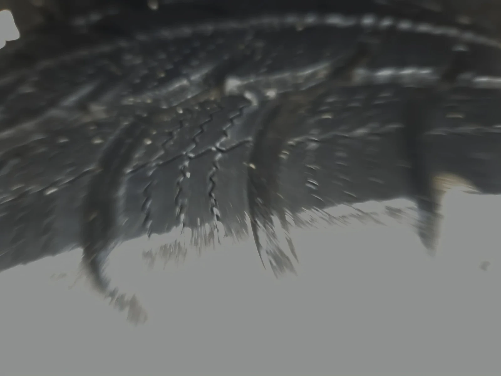 Suzuki Ignis Automatik* 4x4 | Mobile.bg � ����������� 16