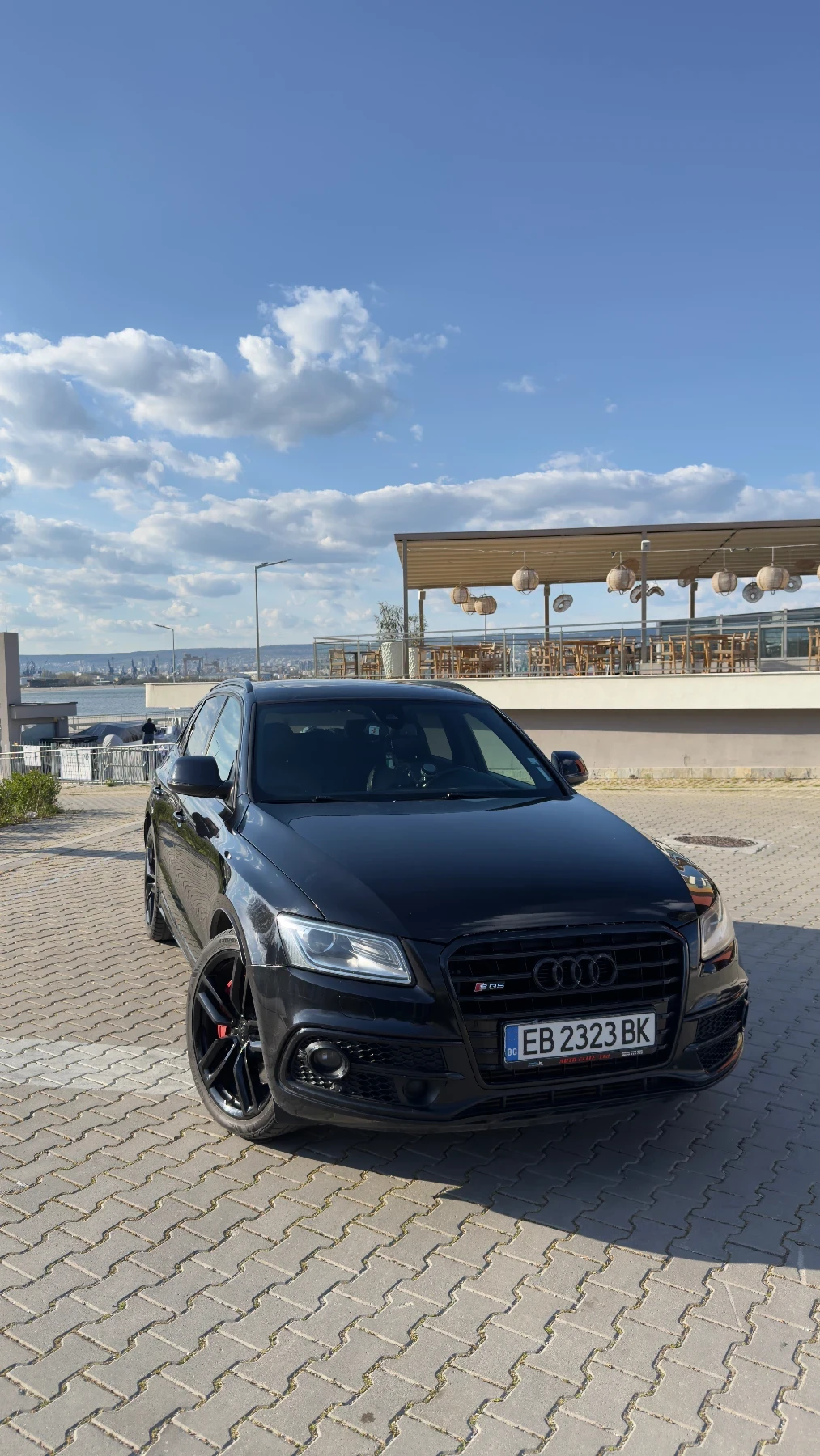 Audi SQ5  DPF и катализатори налични!