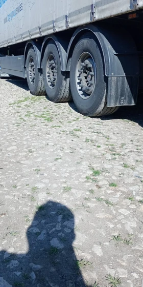 ����������� Berger LTN | Mobile.bg � ����� ������ 2