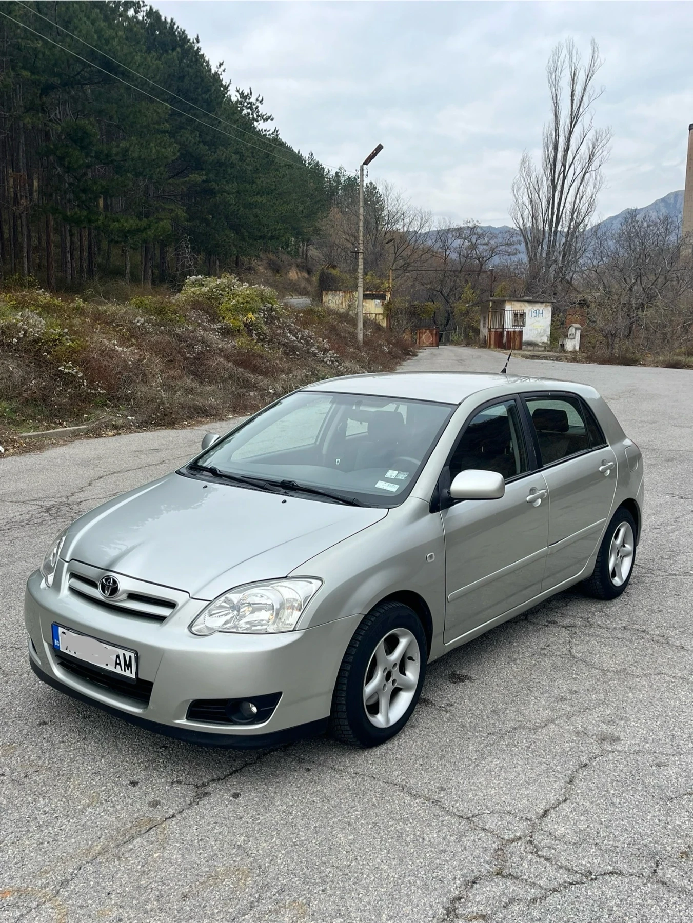 Toyota Corolla 1.4 D4D - изображение 2