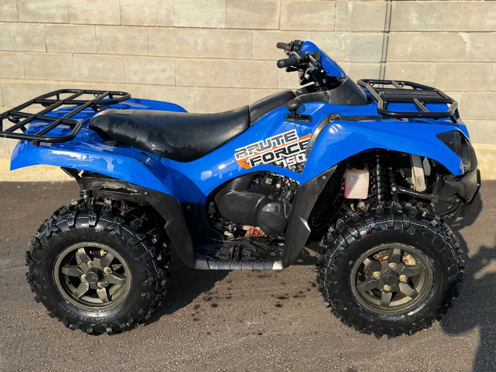 Kawasaki Brute Force 750 - изображение 2