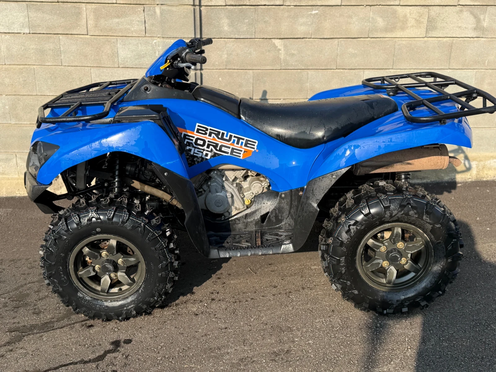 Kawasaki Brute Force 750 - изображение 4