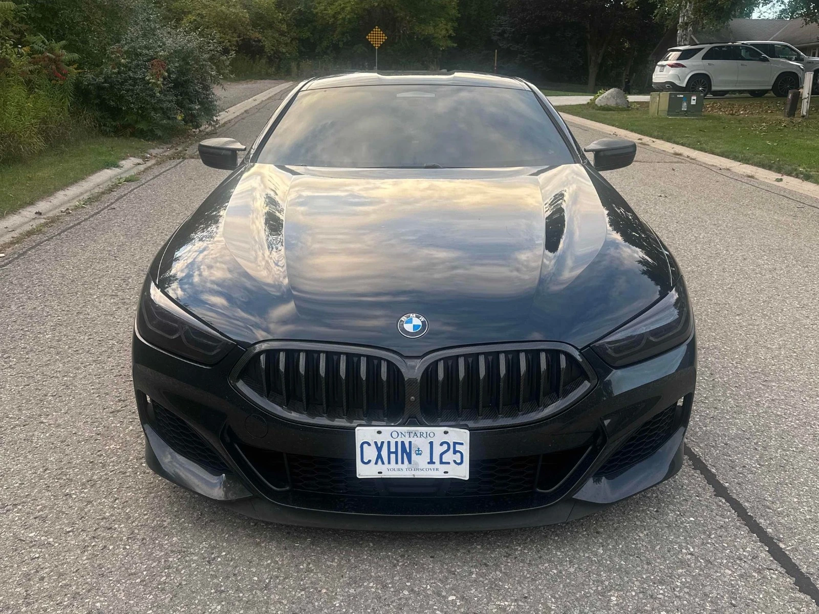 BMW 850 CARBON CORE